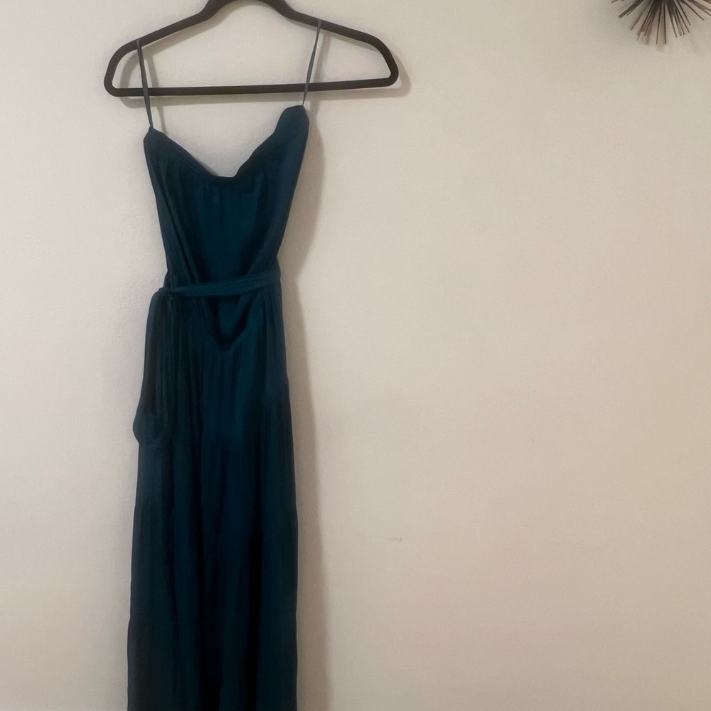 Naked Zebra Teal Maxi Dress